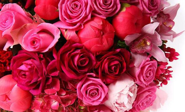 عکس نوشته هدیه دادن گل