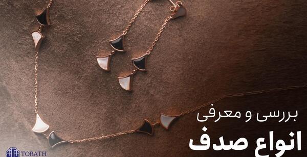 عکس صدف رنگ