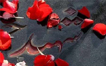 عکس نوشته کلمه شهید