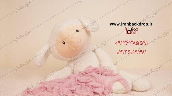 عکس نوزاد گوسفند
