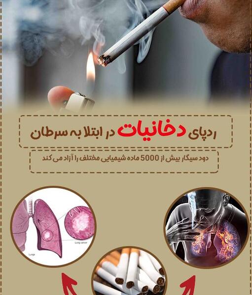 عکس دود سیگار حرفه ای