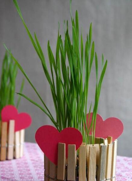 عکس سبزه عید برای مدرسه
