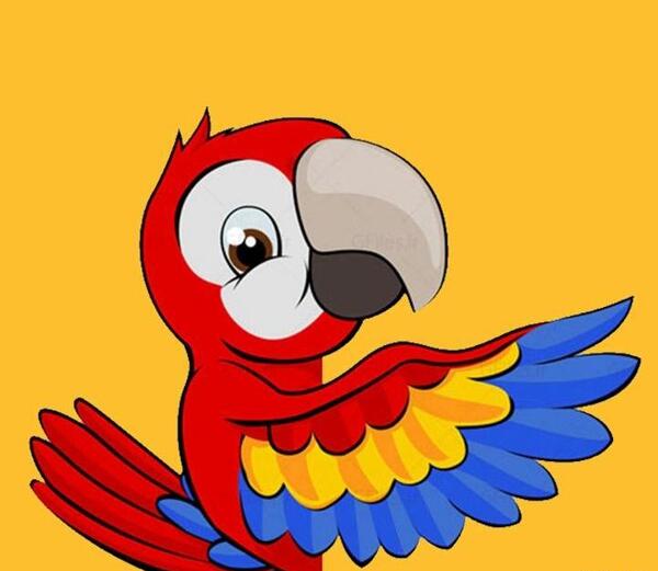 عکس عروسکی طوطی
