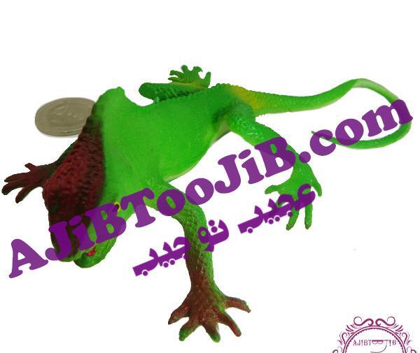 عکس مارمولک قورباغه