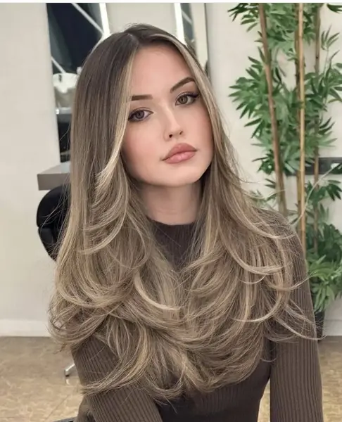 عکس شینیون موی لیر