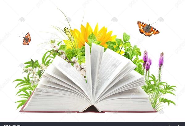 عکس کتاب طبیعت