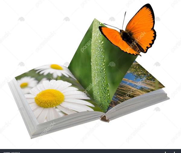 عکس کتاب طبیعت