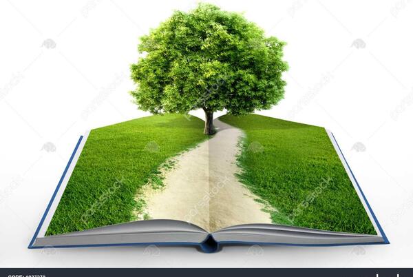 عکس کتاب طبیعت