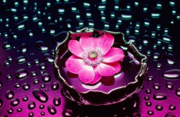 عکس سه بعدی برای پروفایل