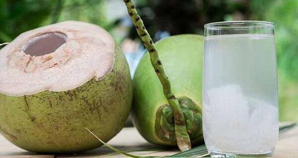 عکس توی نارگیل