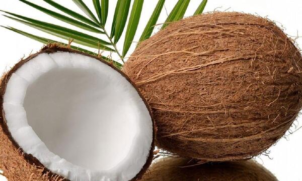 عکس توی نارگیل