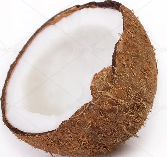 عکس توی نارگیل