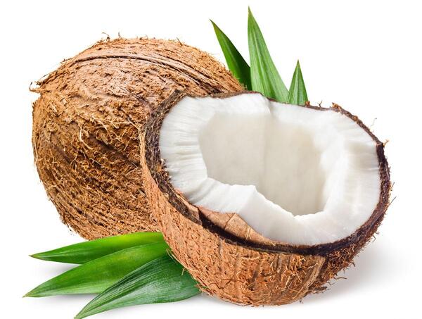 عکس توی نارگیل