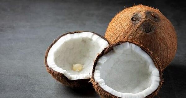 عکس توی نارگیل