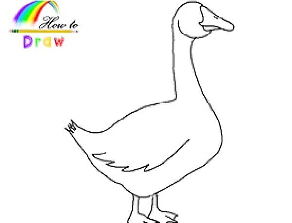 عکس نقاشی غاز ساده