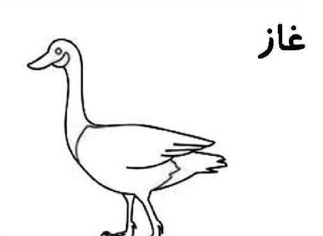 عکس نقاشی غاز ساده