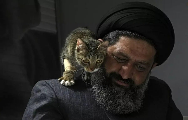عکس سگ مسی و گربه رونالدو
