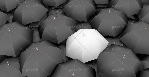 عکس های سفید مشکی