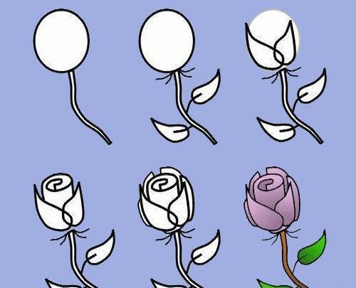 عکس نقاشی دخترانه گل رز