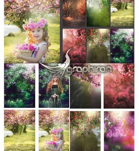 عکس شکوفه برای پس زمینه