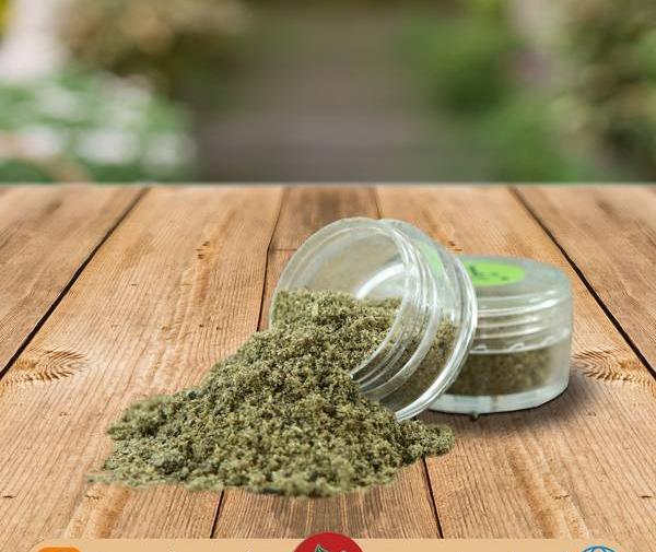 عکس گیاه تین فیل