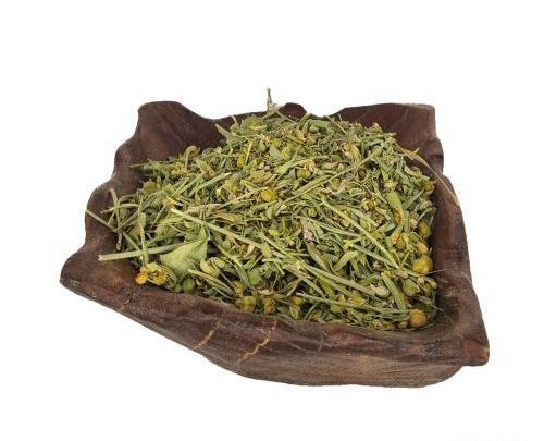 عکس گیاه تین فیل