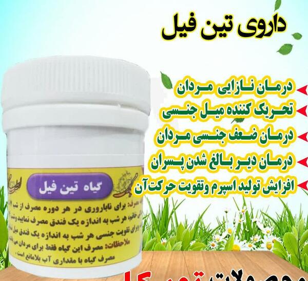عکس گیاه تین فیل