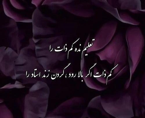 عکس پروفایل جدید قشنگ