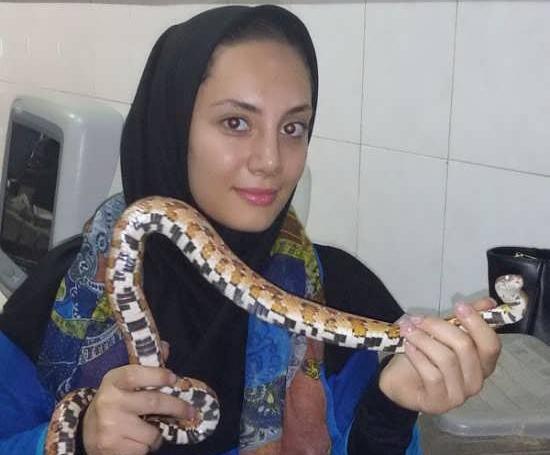 عکس مجری نیلوفر مولایی