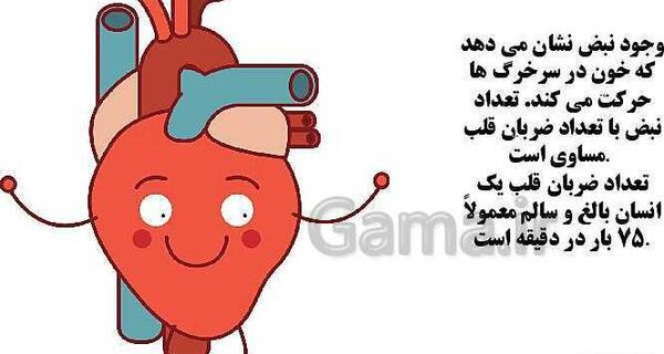 عکس قلب انسان کارتونی