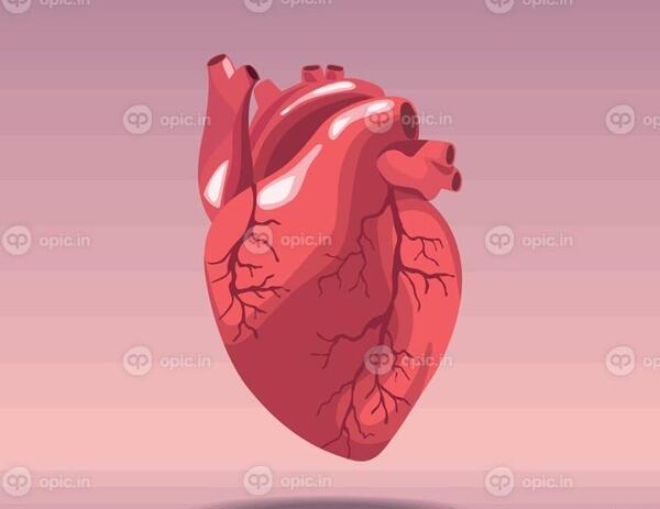 عکس قلب انسان کارتونی