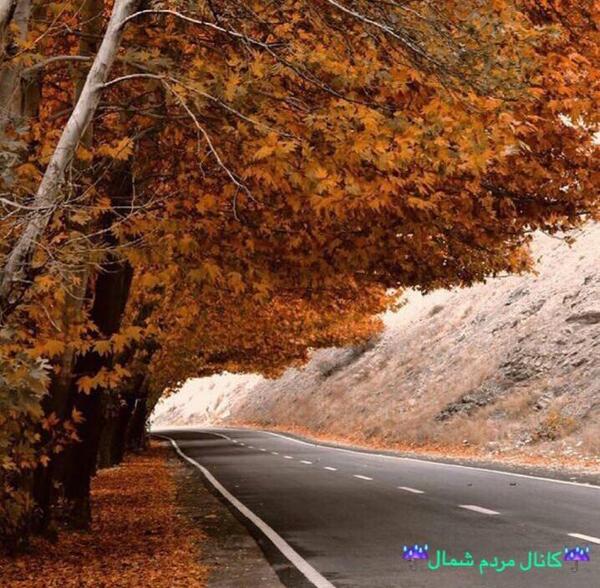 عکس پاییزی جاده شمال