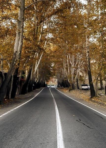 عکس پاییزی جاده شمال