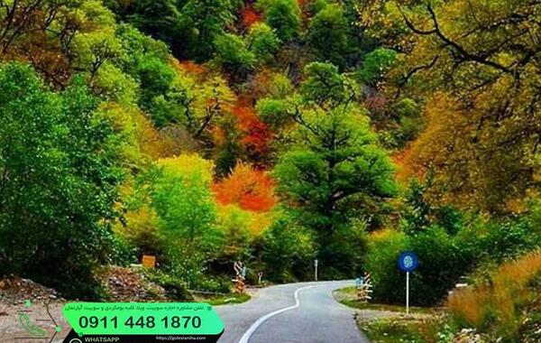 عکس پاییزی جاده شمال