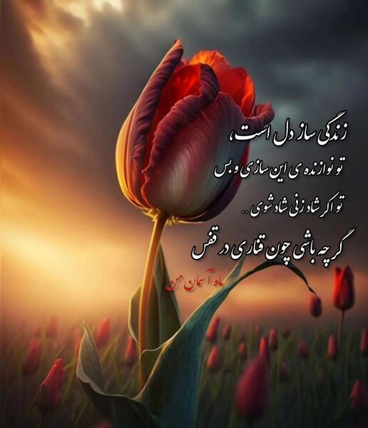 عکس نوشته ی ساز
