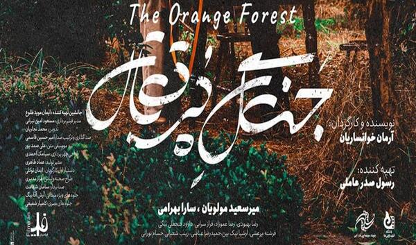 عکس نوشته اسم حمید و سارا