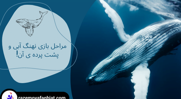 عکس قلب نهنگ