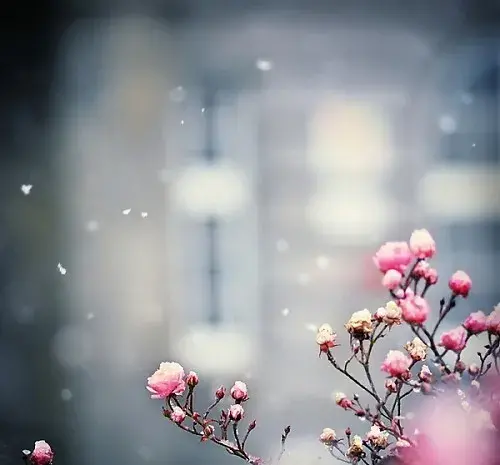عکس پس زمینه آرامش دهنده