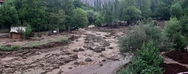 عکس غفور قاسم پور