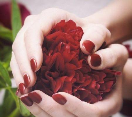 عکس گل زیبا عاشقانه برای پروفایل
