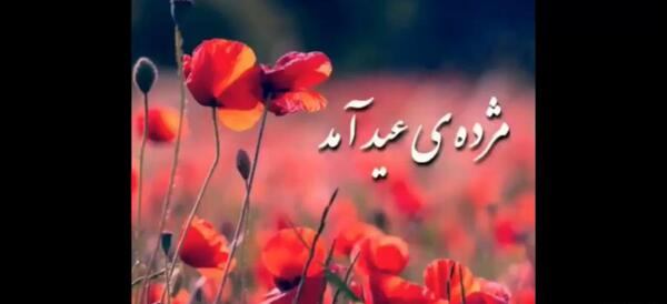 عکس عید نوروز ۱۴۰۱برای وضعیت واتساپ