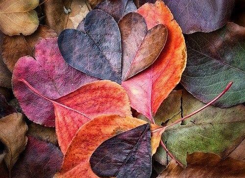 عکس پاییزی زیبا دونفره