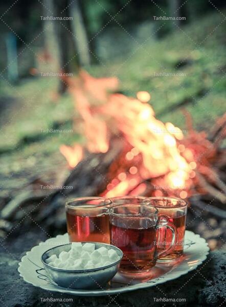 عکس تصویر پس زمینه چای