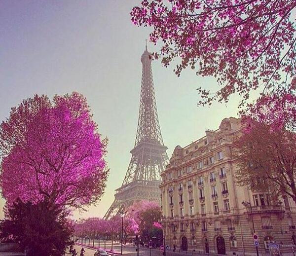 عکس پاریس ناز