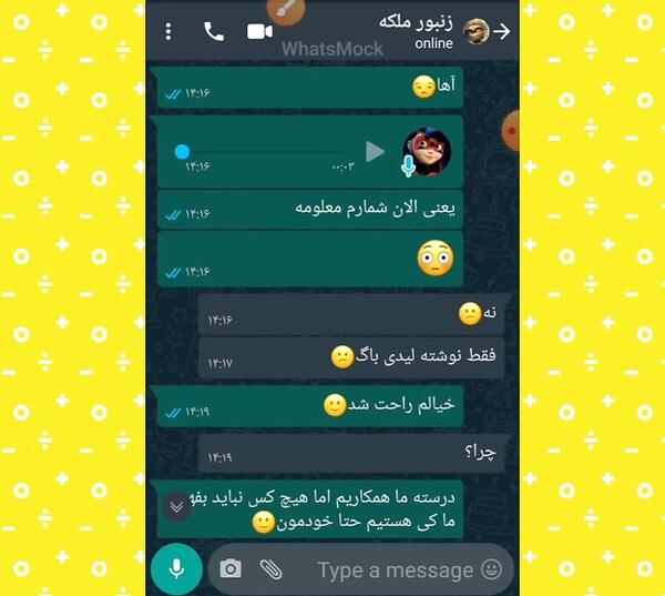 عکس چت دختر کفشدوزکی و گربه سیاه