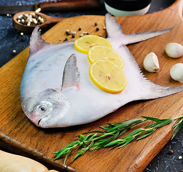 عکس ماهی حلوا سفید