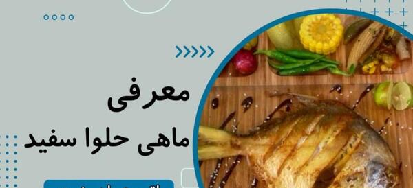 عکس ماهی حلوا سفید