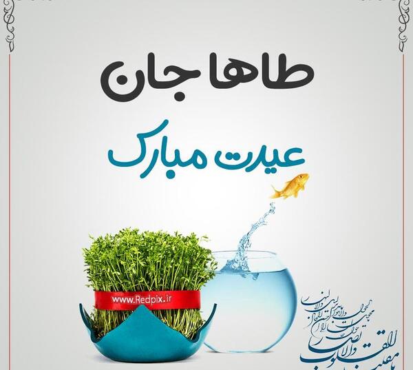 عکس تولدت مبارک طاها جون