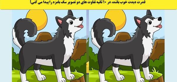 عکس هاپو مشکی