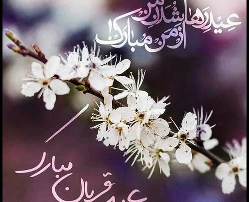 عکس نوشته های تبریک عید قربان